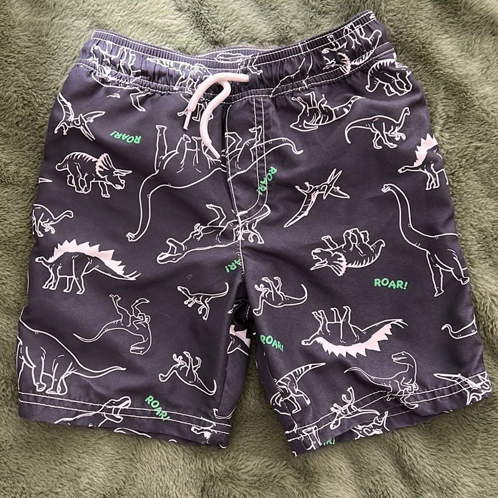 Carter’s brand dinosaur swim trunks, size 5T, grey with green and white dinos